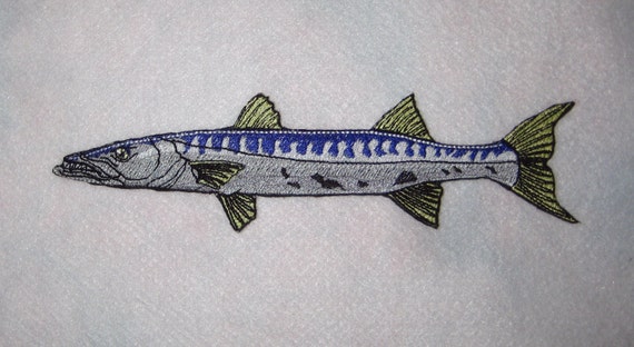 Great barracuda fish sphyraena barracuda iron on patch ready