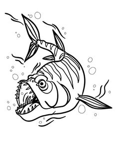 Barracuda fish coloring pages eas fish coloring page coloring pages barracuda