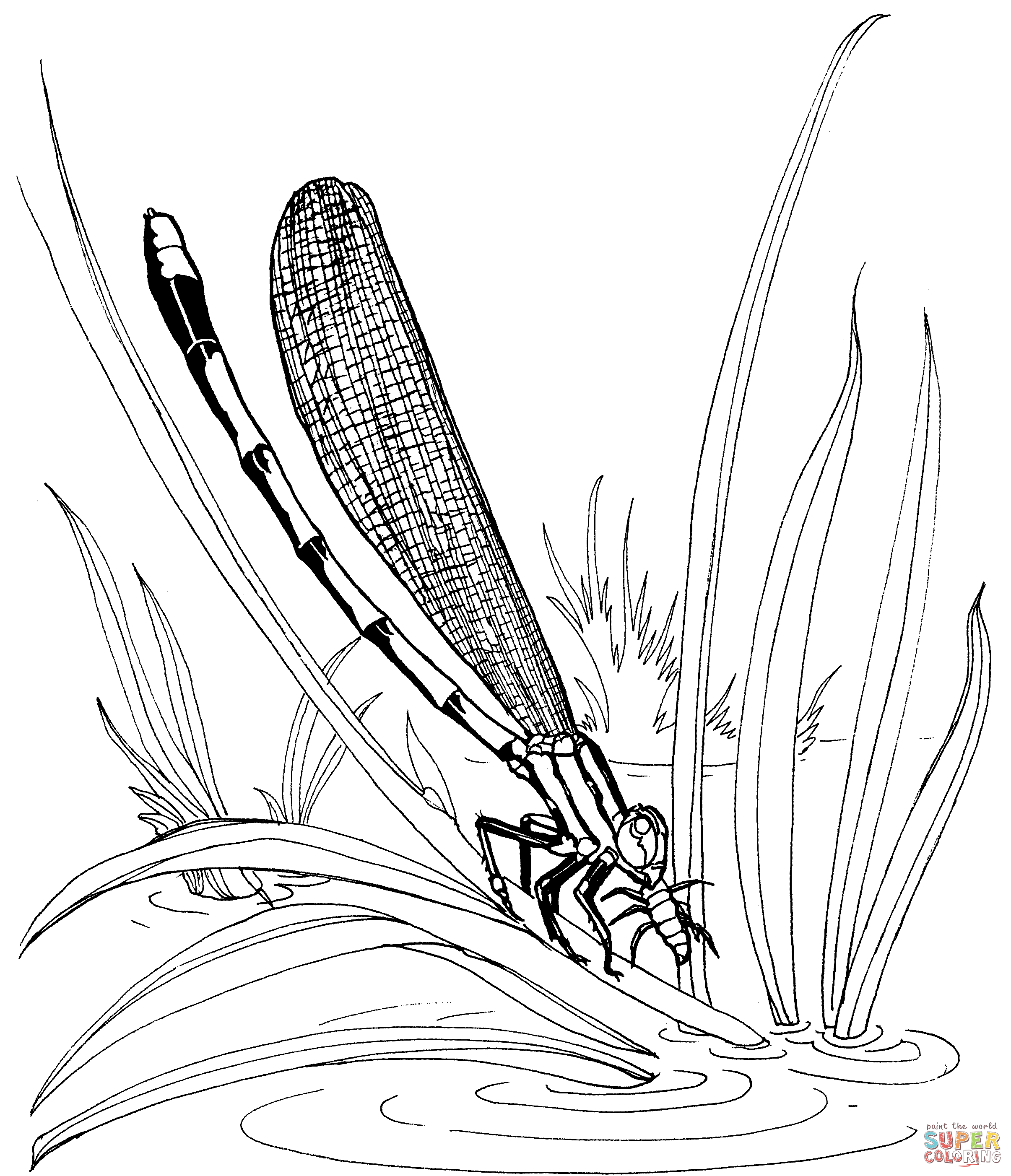 Damselfly sitting on a leaf coloring page free printable coloring pages leaf coloring page coloring pages online coloring pages