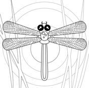 Dragonfly coloring pages free coloring pages