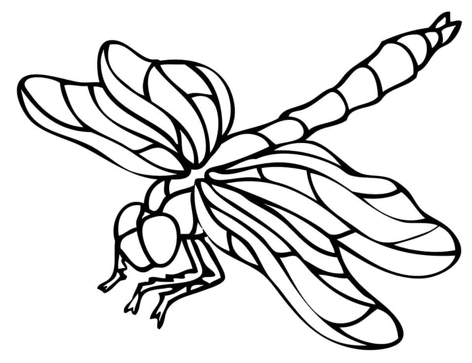 Yellow winged darter dragonfly coloring page