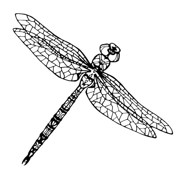 Coloring object illustration of dragonfly stock illustration by xaxalerik