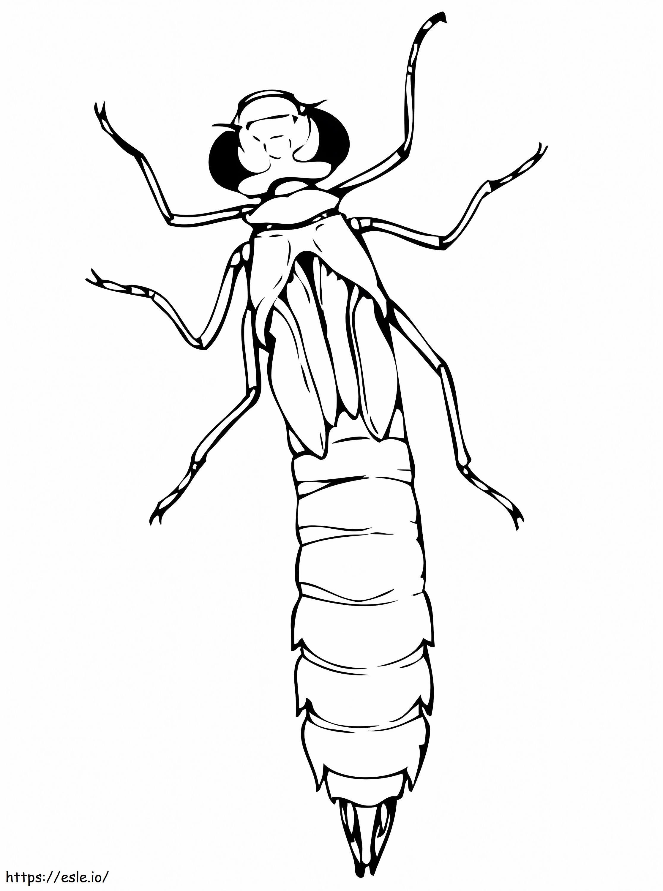 Dragonfly nymph coloring page