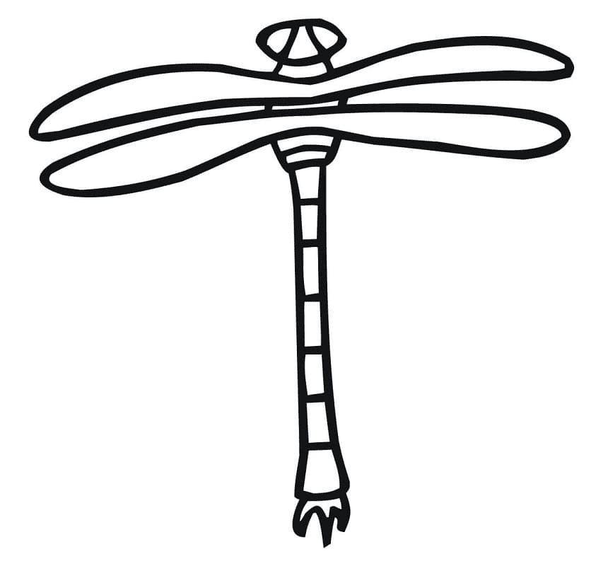 Yellow winged darter dragonfly coloring page