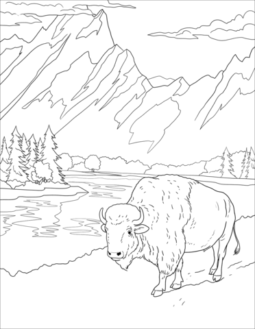 Grand teton national park coloring page free printable coloring pages