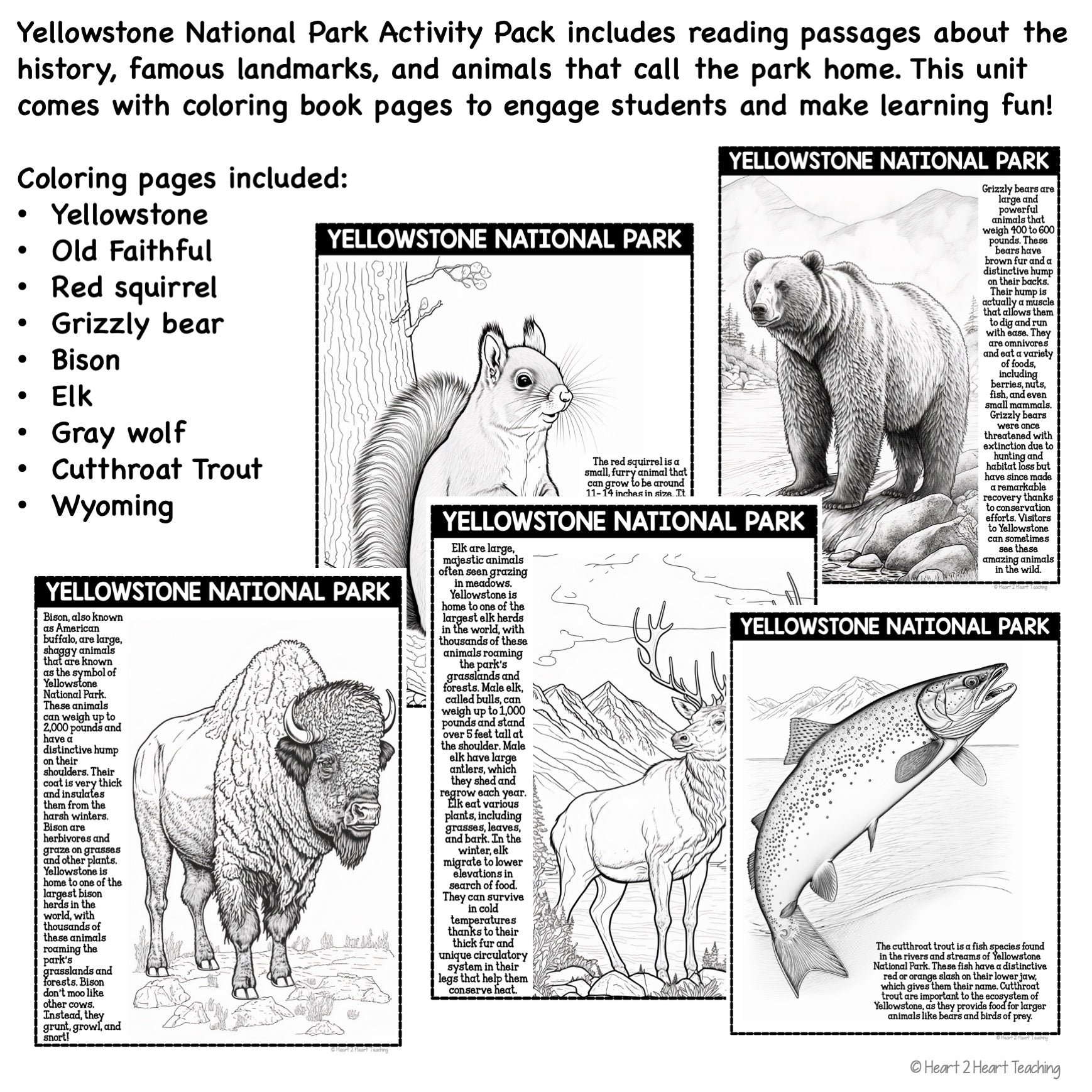 Yellowstone national park coloring pages â heart heart teaching