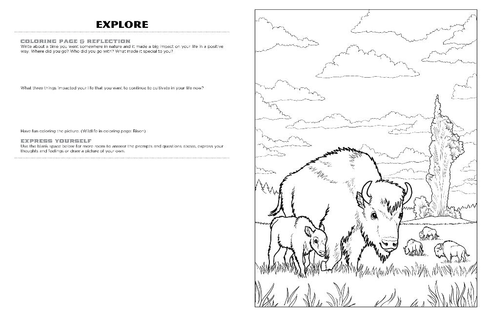 Discover yellowstone expressive art coloring activity book â discovery art for youth
