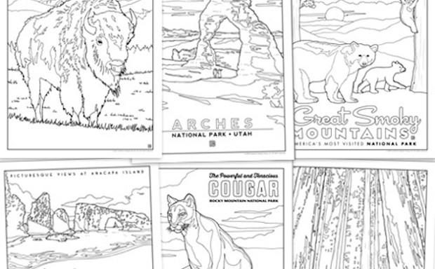 Illustrated national parks coloring book now available from anderson design group