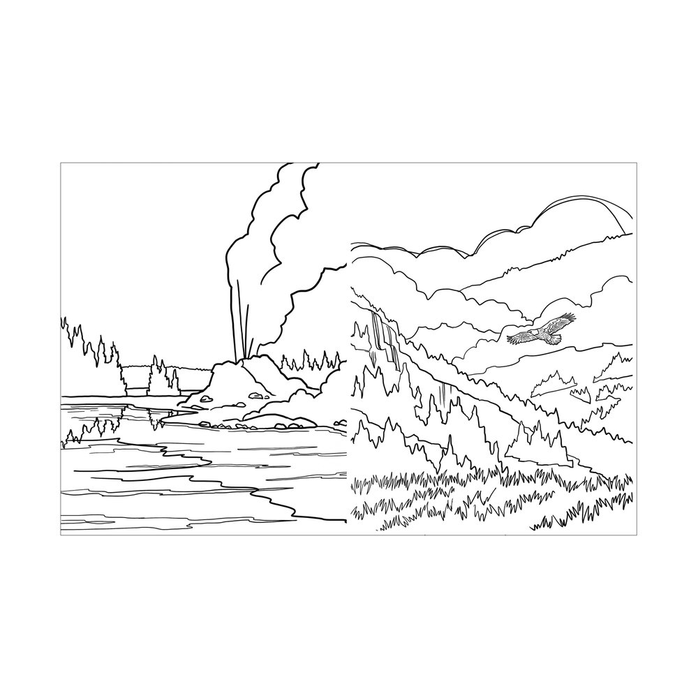 Yellowstone national park coloring book digital version â corvidae drawings designs