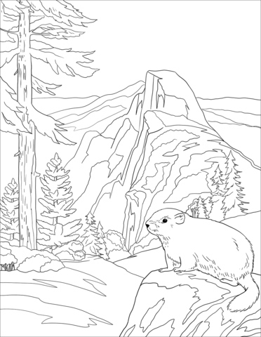 Yosemite national park coloring page free printable coloring pages