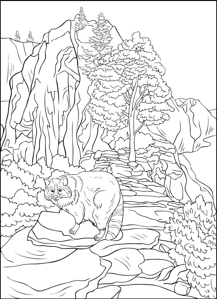 Great outdoors landscapes pdf coloring book wild nature grand canyo â rachel mintz coloring books