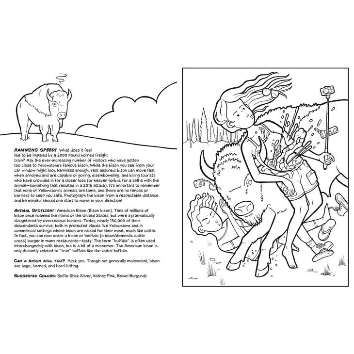 Wholesale yellowstone national park a cautionary coloring book for your store