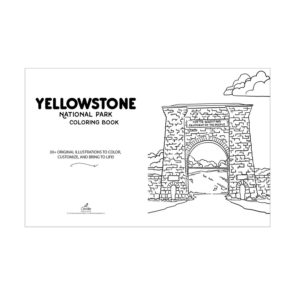 Yellowstone national park coloring book digital version â corvidae drawings designs