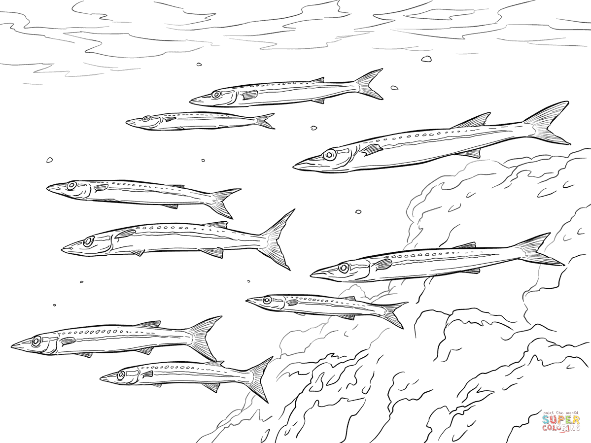 Yellowtail barracuda shoal coloring page free printable coloring pages