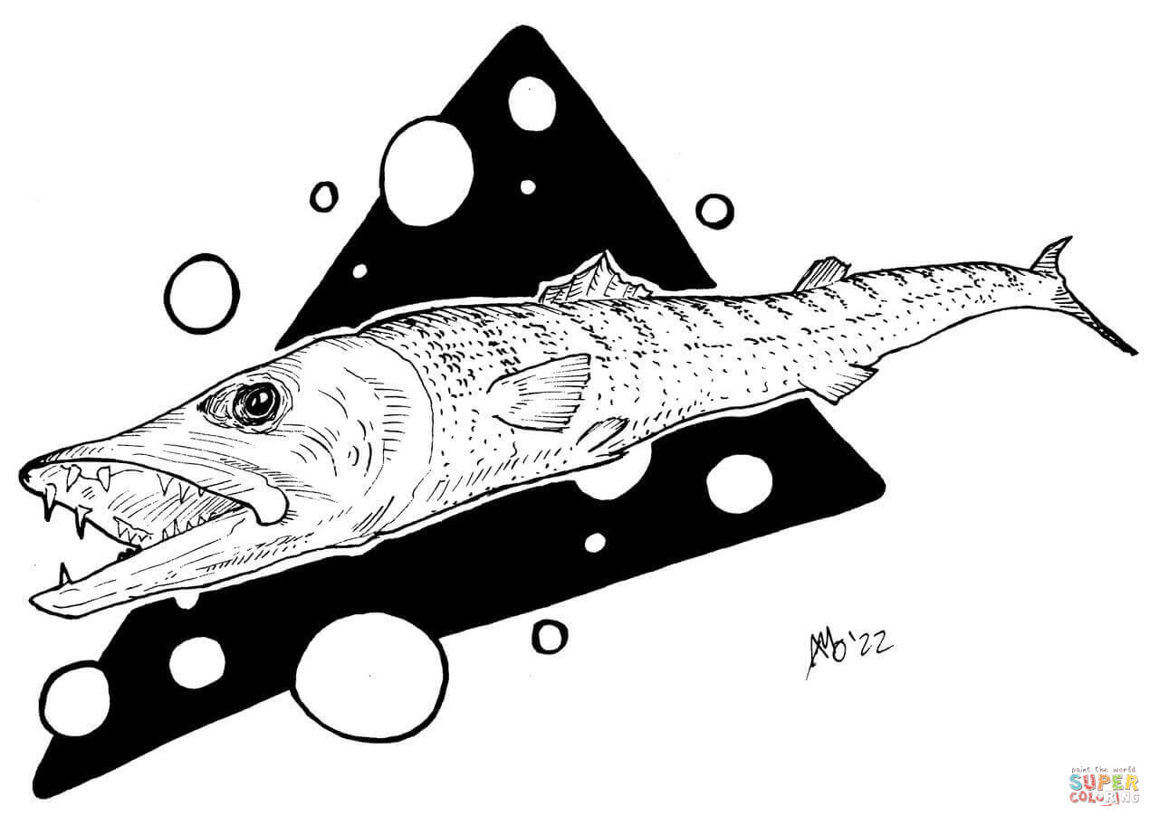 Barracuda coloring page free printable coloring pages