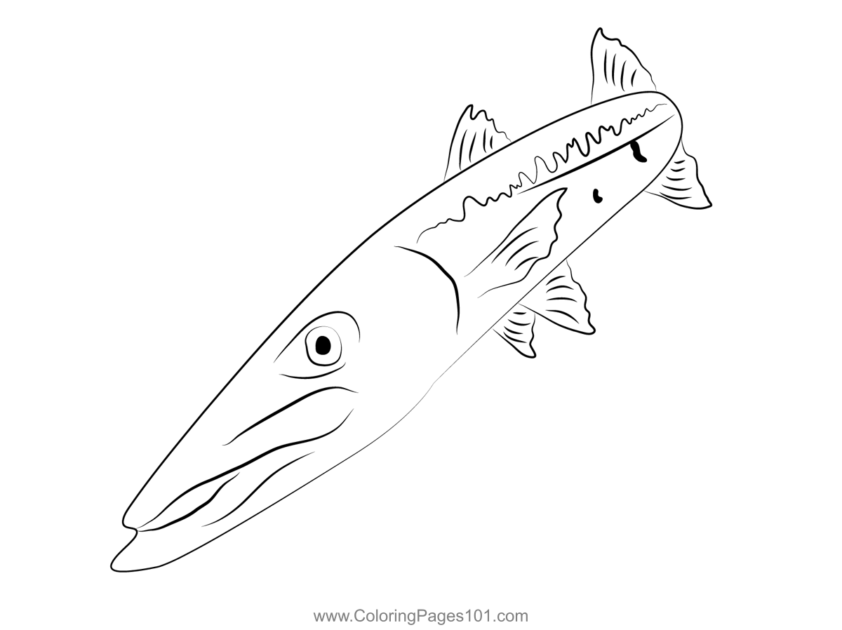 Barracudas down coloring page coloring pages color printable coloring pages