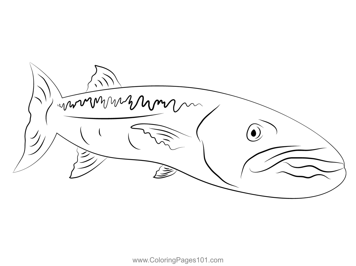 Great barracuda see colorg page colorg pages colorg pages for kids prtable colorg pages