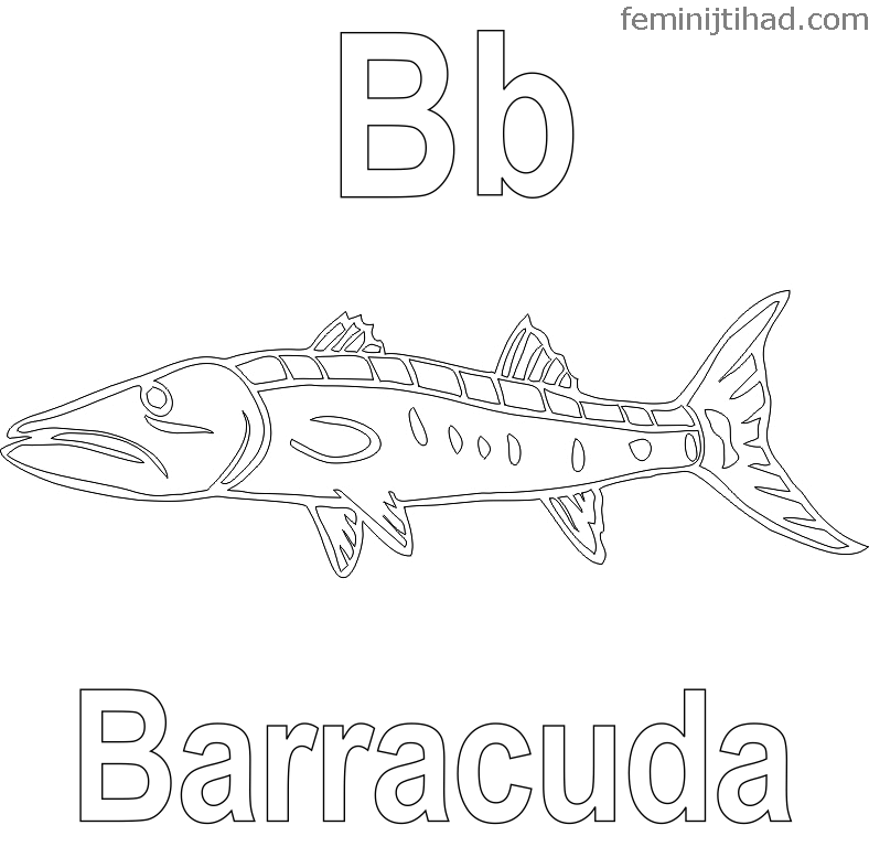 Printable barracuda coloring pages pdf