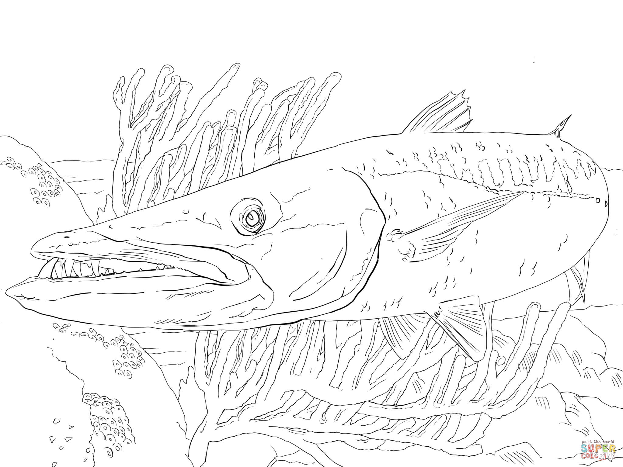 Barracuda fish coloring page free printable coloring pages