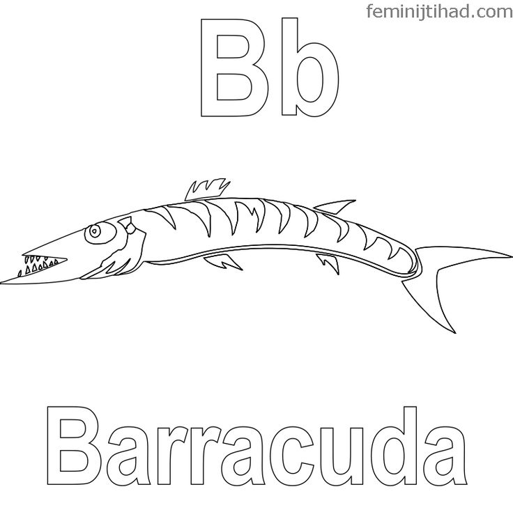 Printable barracuda coloring pages pdf