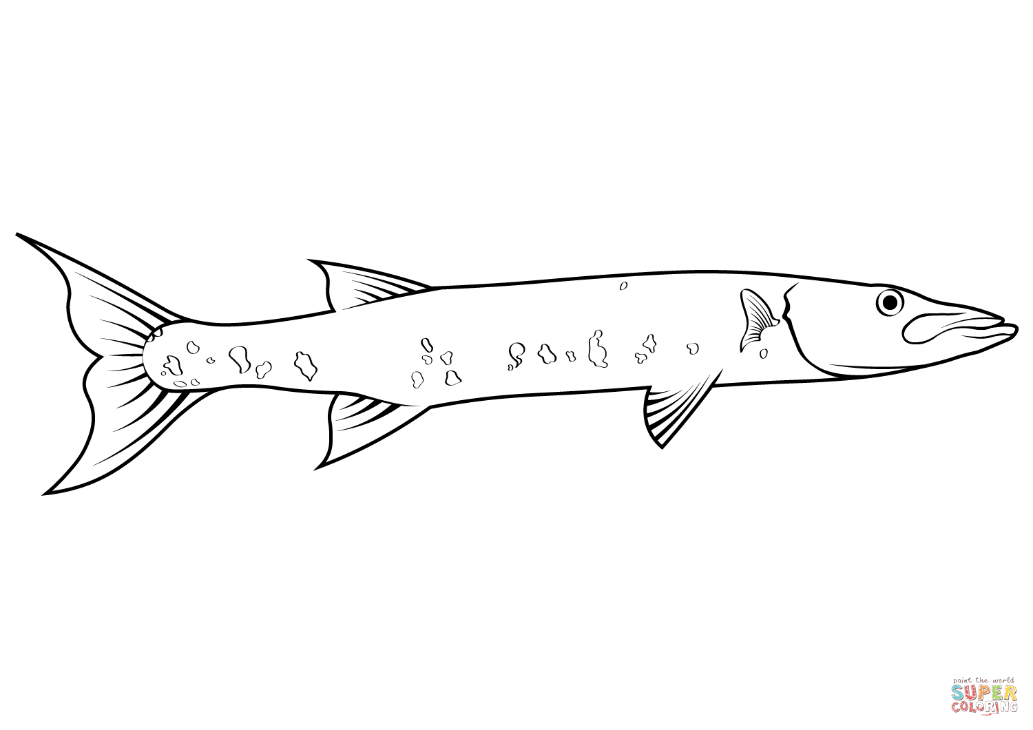 Great barracuda sphyraena barracuda coloring page free printable coloring pages