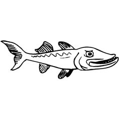 Barracuda fish coloring pages eas fish coloring page coloring pages barracuda