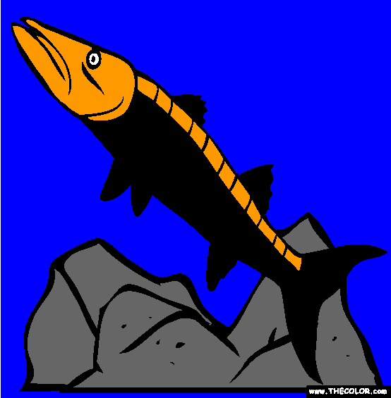 Great barracuda online coloring page online coloring pages online coloring coloring pages