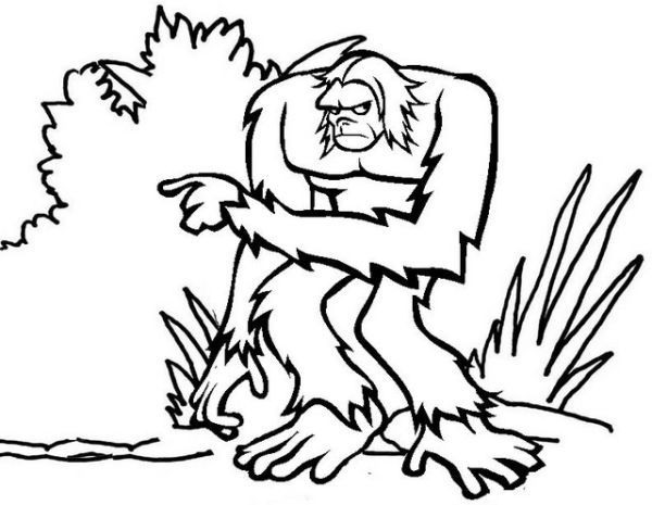 Printable yeti coloring pages pdf