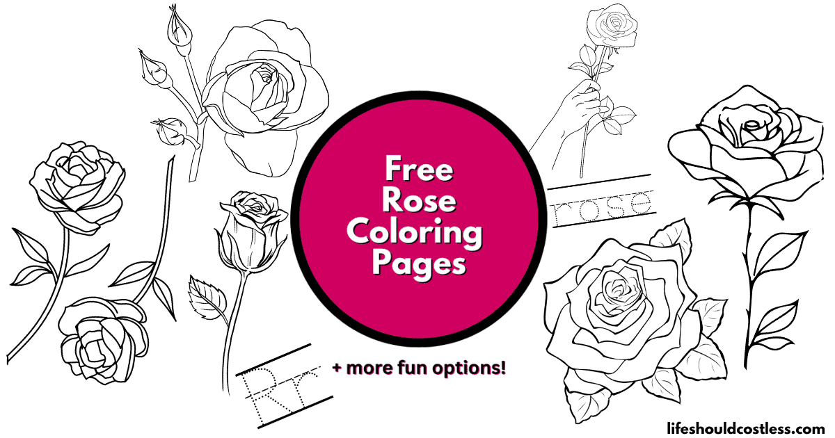 Rose coloring pages free printable pdf templates