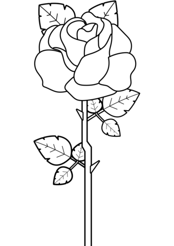 Rose coloring page free printable coloring pages