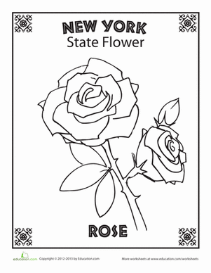 How delicious do you think this pretty rose would smell color in new yorks state flower as you imagine exactly what it wouâ new york state york states project