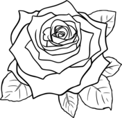 Roses coloring pages free coloring pages