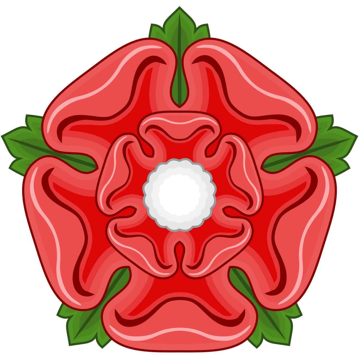 Red rose of lancaster