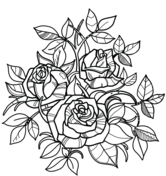 Roses coloring pages free coloring pages