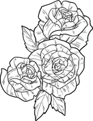 Roses coloring pages free coloring pages