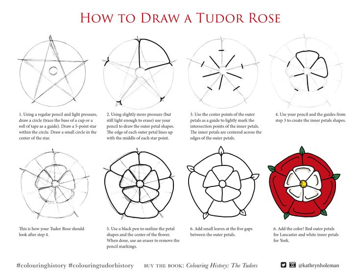 How to draw a tudor rose tudor rose tudor tudor rose tattoos