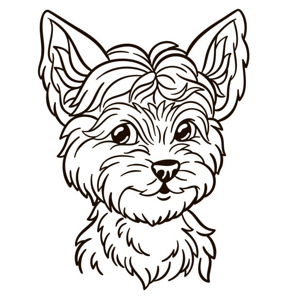 Yorkie cute dog stock illustration