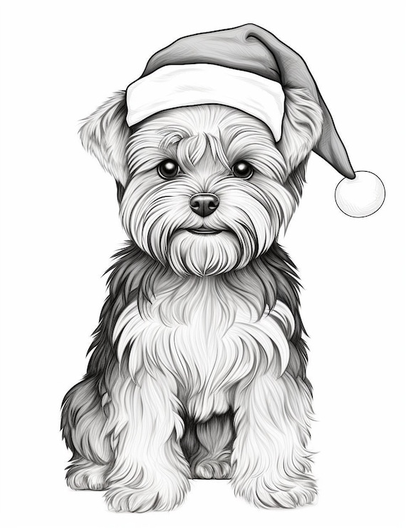 Yorkshire terrier yorkie coloring page christmas printable coloring page coloring for adults instant download mercial use instant download