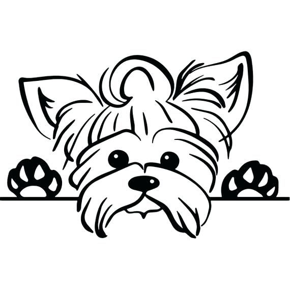 Yorkie coloring pages