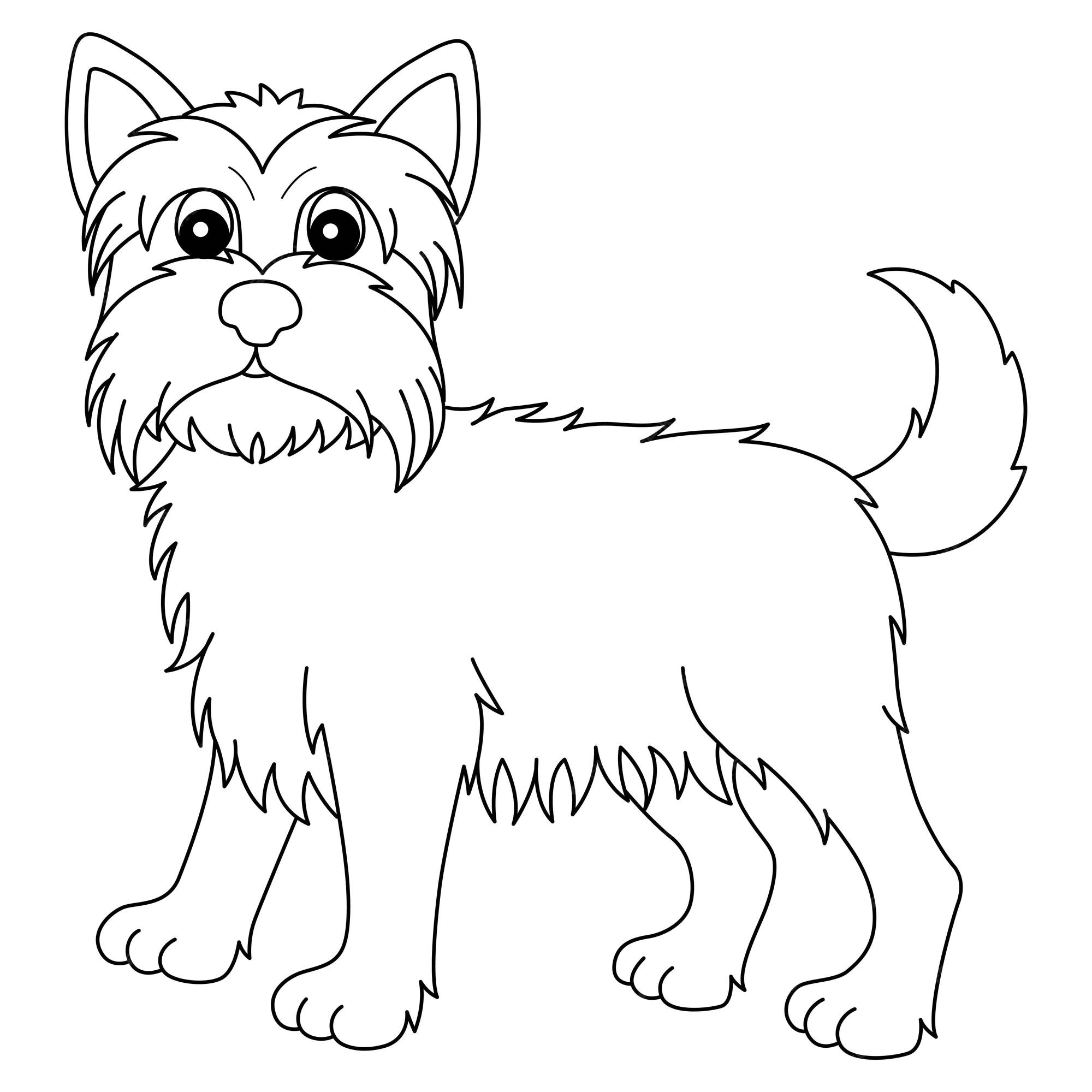 Premium vector yorkshire terrier isolated coloring page for kids