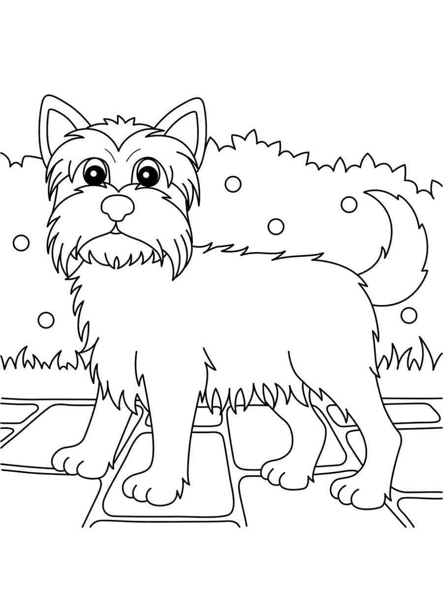 Free printable yorkie coloring page