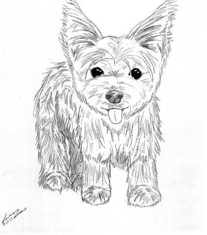 Yorkie puppy coloring pages to print coloring pages puppy coloring pages dog breeds pictures yorkie puppy