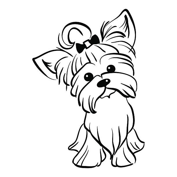 Vector sketch funny yorkshire terrier dog sitting stock illustration