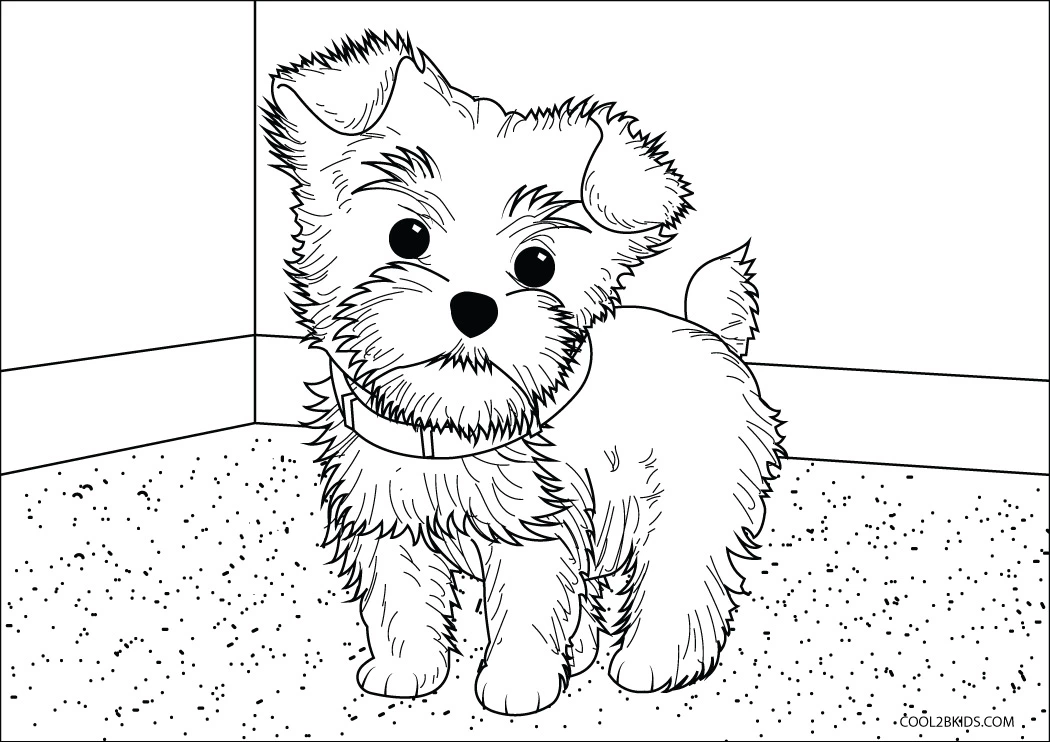 Free printable yorkie coloring pages for kids