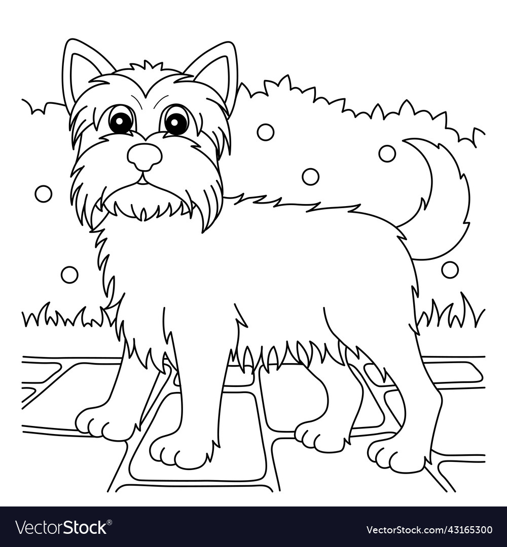 Yorkshire terrier dog coloring page for kids vector image