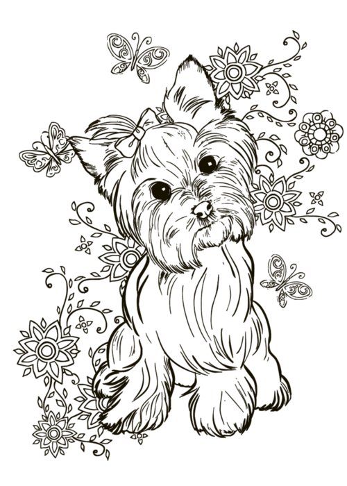 Yorkie terrier greeting card by cindy elsharouni