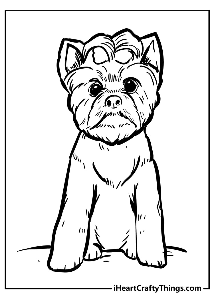 Dog coloring pages free printables