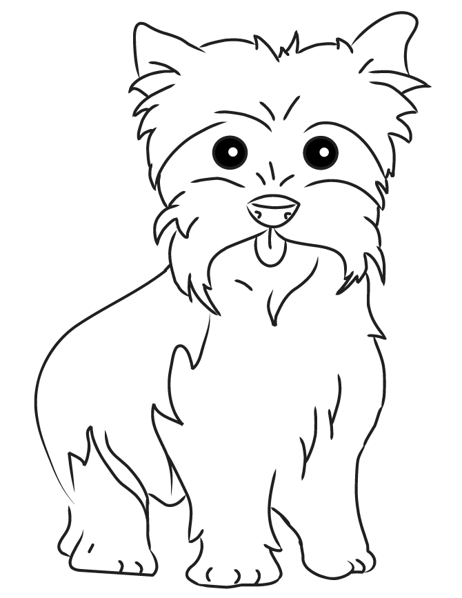 Yorkie coloring pages