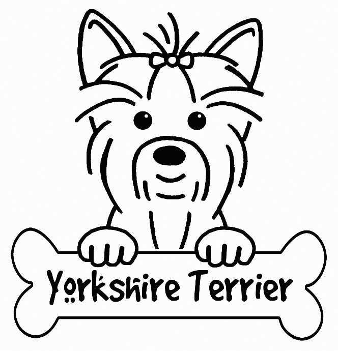 Yorkie coloring pages