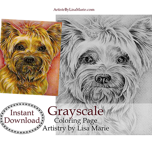 Yorkie coloring book page â artistry by lisa marie